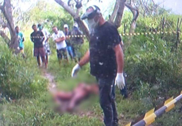 Com Informações: Piaui em Dia