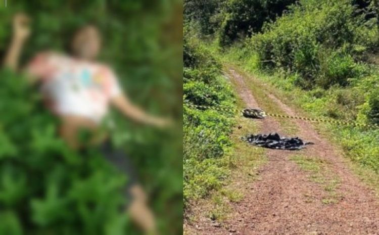 Com Informações: G1 Piauí