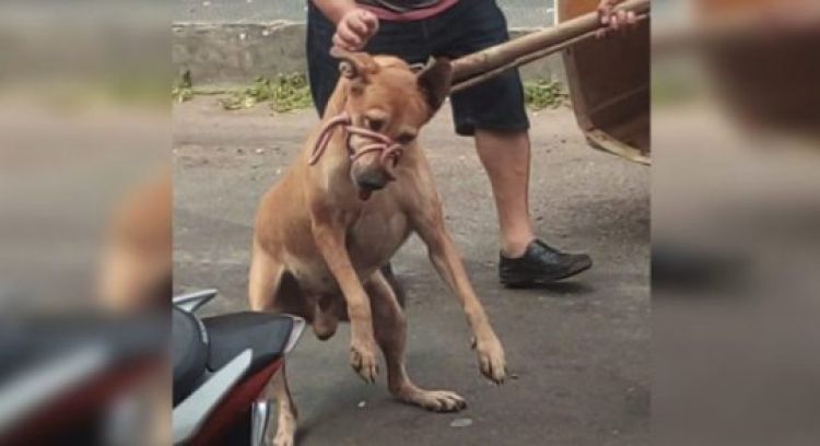 Com informações do G1/CE e f5cariri