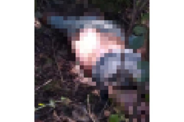 Com Informações:Meio Norte 