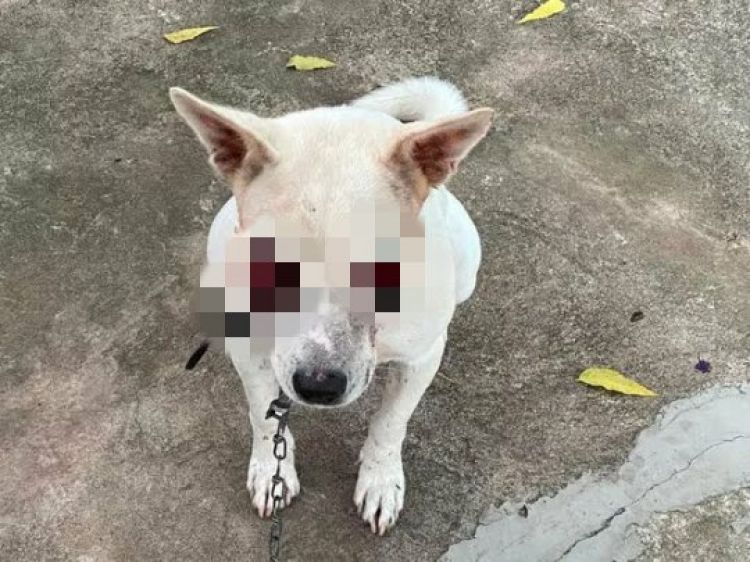 Com Informações: G1