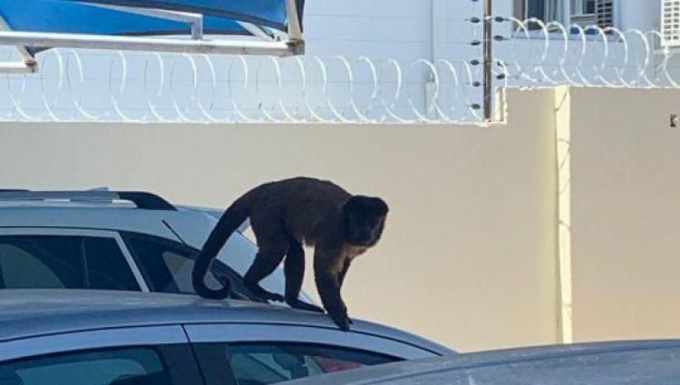 Com Informações: G1 Piauí