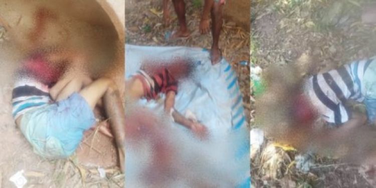 Com Informações: Meio Norte 