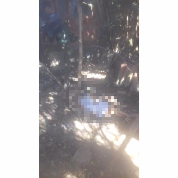 Com Informações: Meio Norte 