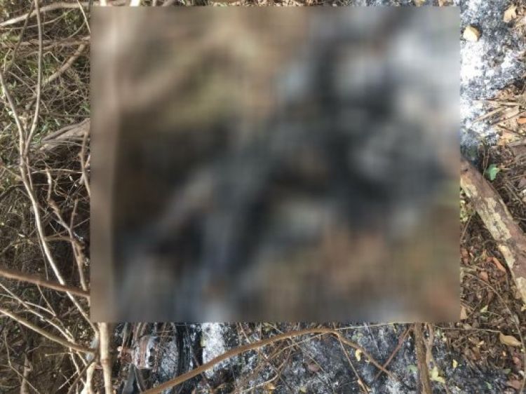 Com Informações: Meio Norte 