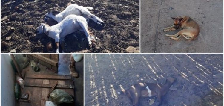 Com Informações: Cidades na Net 