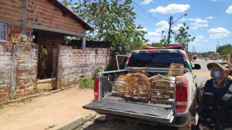 Com Informações: G1 Piauí 