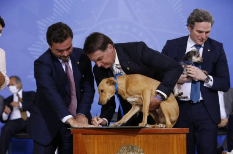 Com Informações: Governo 