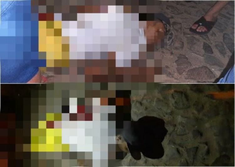 Com Informações: Meio Norte