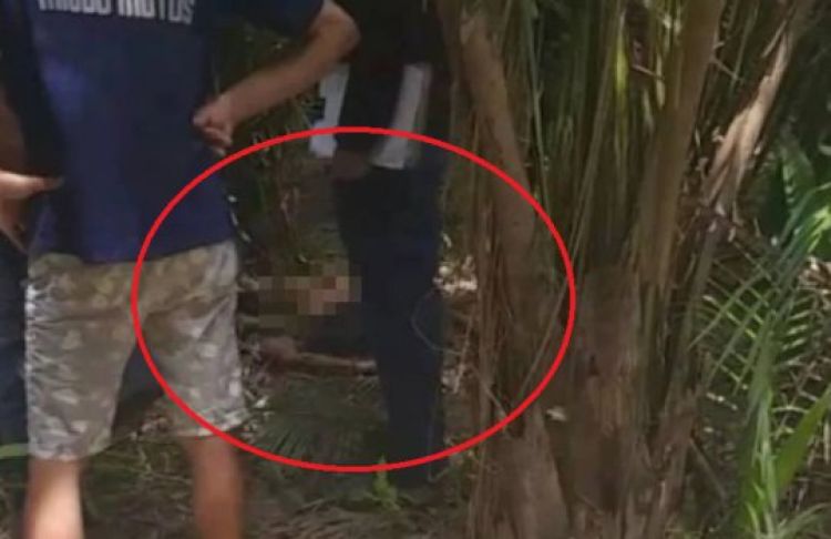 Com informações Meio Norte