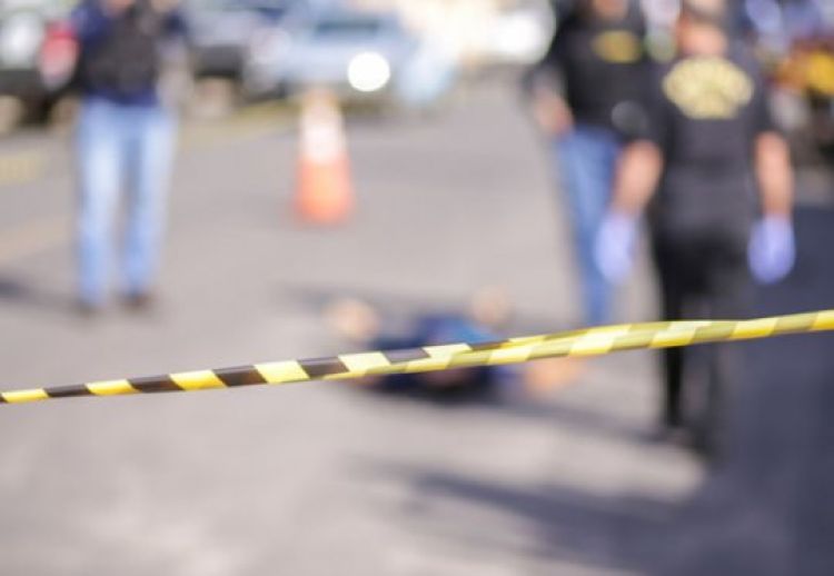 Com Informações: Cidade Verde