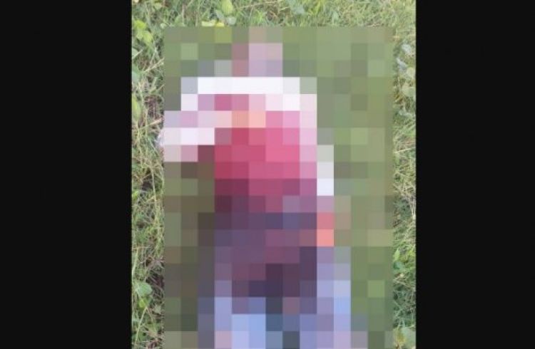 Com Informações; Meio Norte