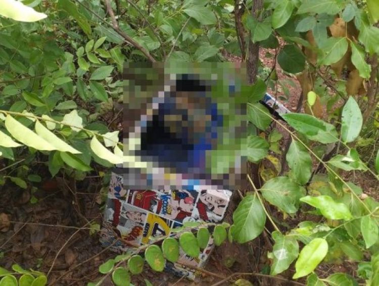 Com Informações: Meio Norte