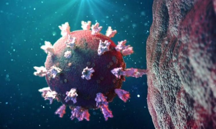 Foto: Reprodução - Globo