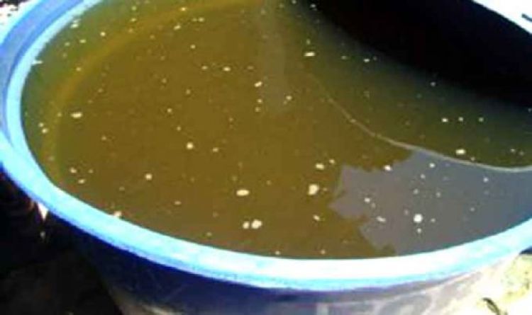 Com Informações: FM Imperial 