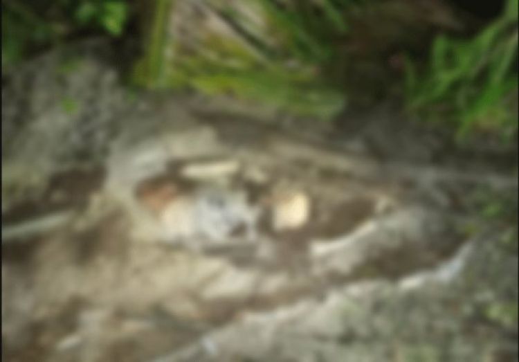 Com Informações: Meio Norte