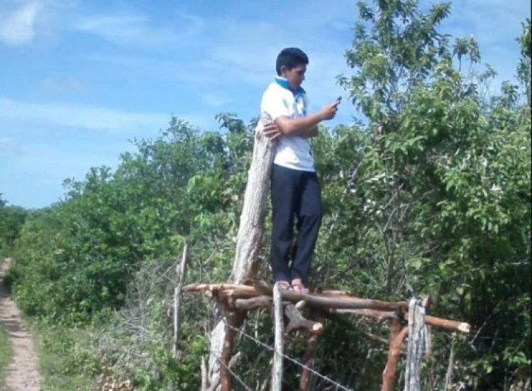 Com Informações; G1 CE