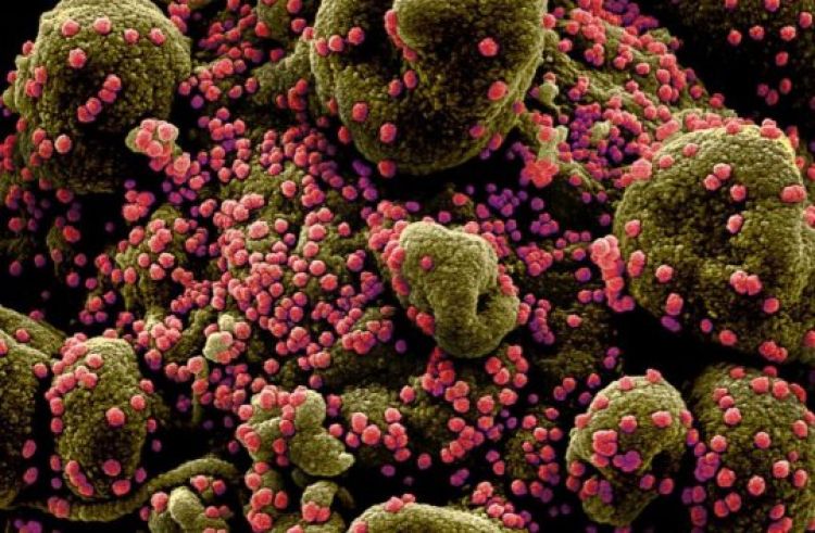 Com informações: Meio norte