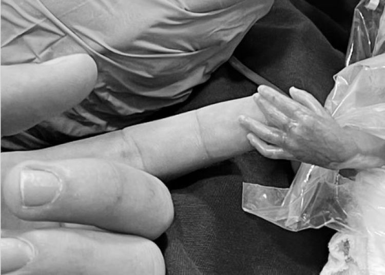 Com informações: Cidade Verde