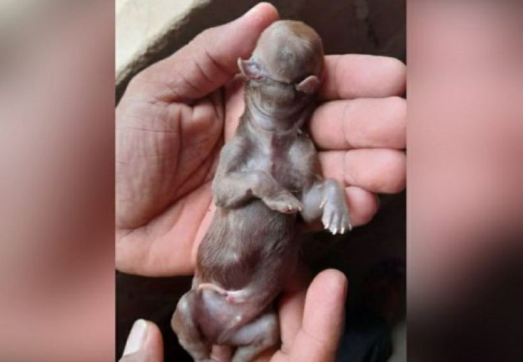 Com informações: G1/PI