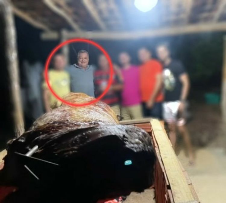 As fotos são reprodução e foram enviadas pelo público