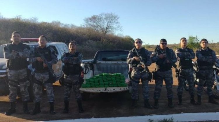 Força Tática apreende quase 80 kg de maconha em Simplício Mendes/PI - Foto: Divulgação/Polícia Militar