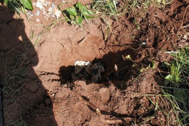 
FOTO ILUSTRAÇÃO
Crédito: Douglas
Direitos autorais: Jornal da Cidade de Bauru Ltda.