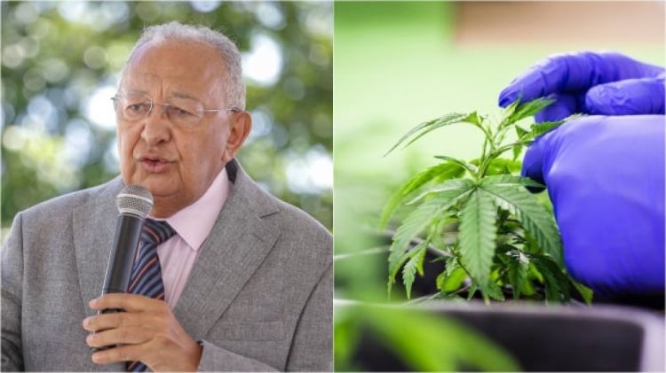 Dr. Pessoa sanciona lei para distribuir medicamentos à base de cannabis | Reprodução