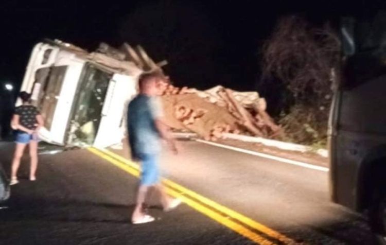 Foto: Elvis Plasley/TV WebSigefredo