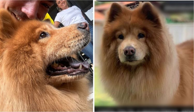 Foto: Reprodução/ Redes Sociais 