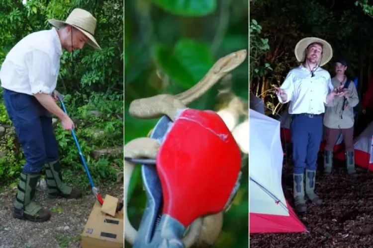 MrBeast enfrentou cobras mortais na 'Ilha das Cobras' — Foto: Reprodução/YouTube