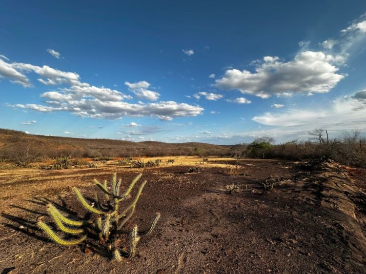 Foto: Divulgação/ Governo do Piauí  