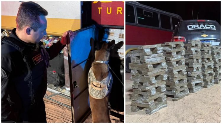 Foto: Divulgação/ SSP