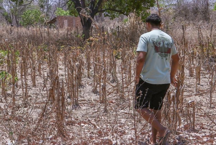 Foto: Governo do Estado do Piauí 