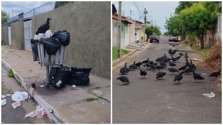 Foto: Campo Maior em Foco