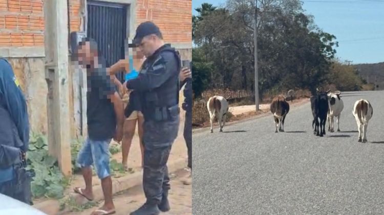 Foto: Divulgação/SSP-PI