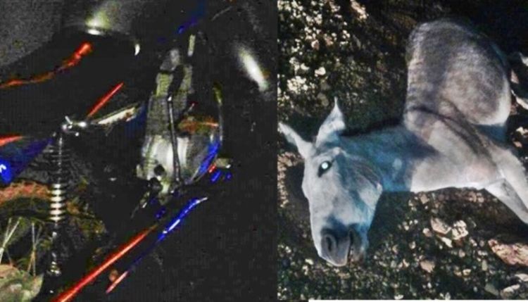 Com informações do piripirireporter