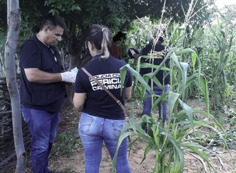 Fonte: Cidadeverde / Foto: PM