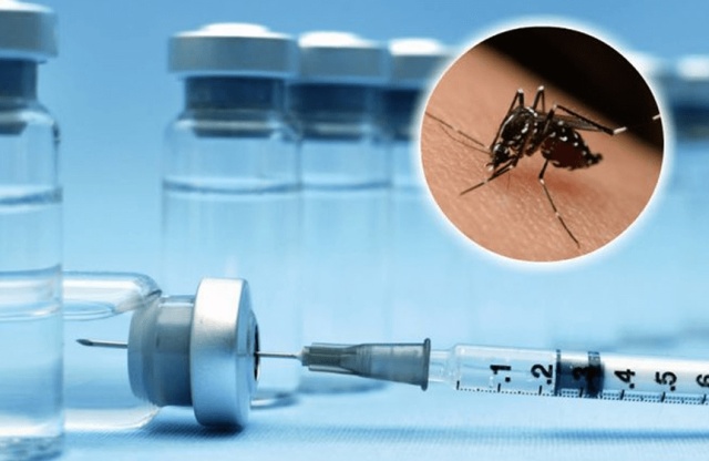 EmFoco Explica: Vacina contra Dengue existe, mas porquê não é acessível a todos?