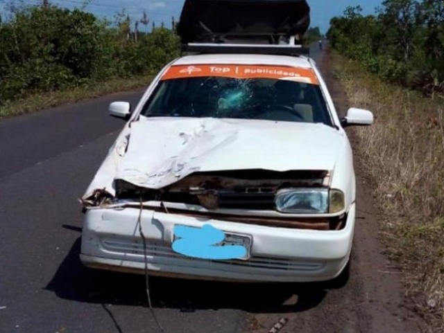 Radialista colide carro em animal durante acidente na estrada entre Cabeceiras e Barras (PI)