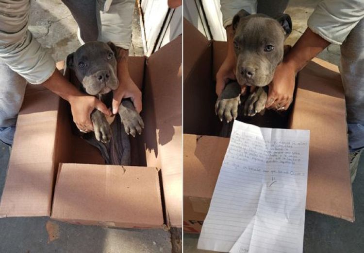 Com Informações: Cidade Verde Com Informações: Cidade Verde