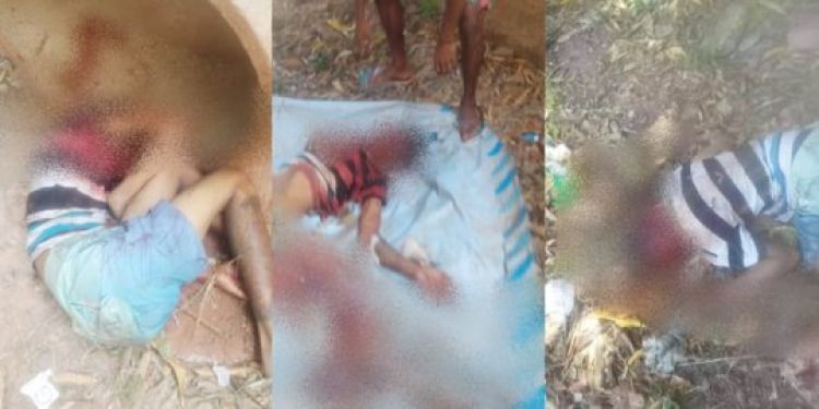 Com Informações: Meio Norte Com Informações: Meio Norte