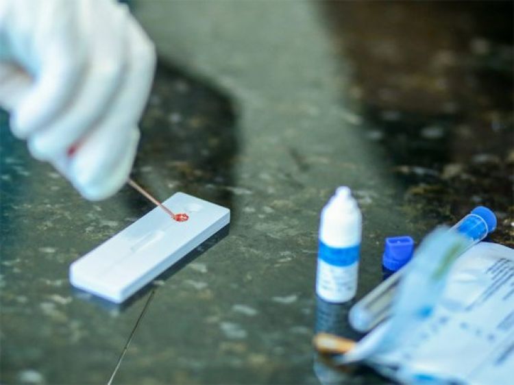 Com Informações: Cidade Verde  Com Informações: Cidade Verde