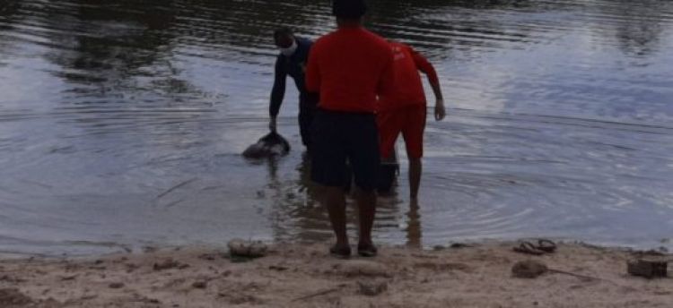 Com informações do portal Duscocais  Com informações do portal Duscocais