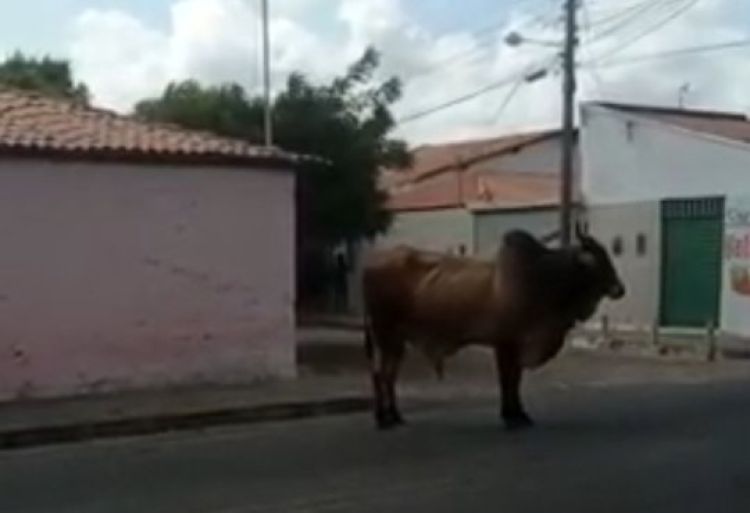 Com Informações: Jornal da Parnaíba  Com Informações: Jornal da Parnaíba