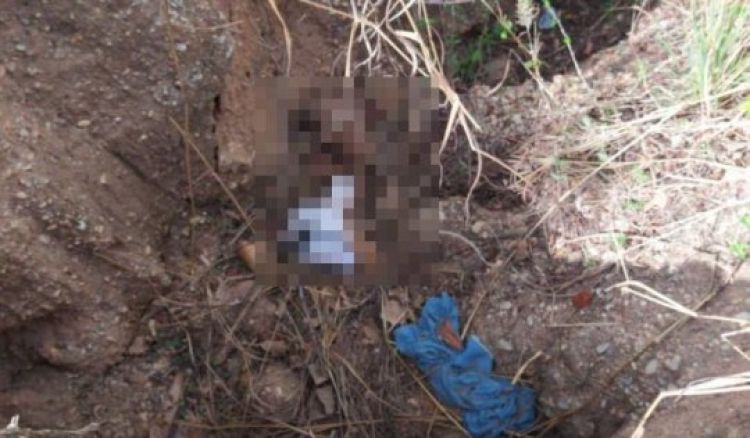 Com Informações: Meio Norte Com Informações: Meio Norte