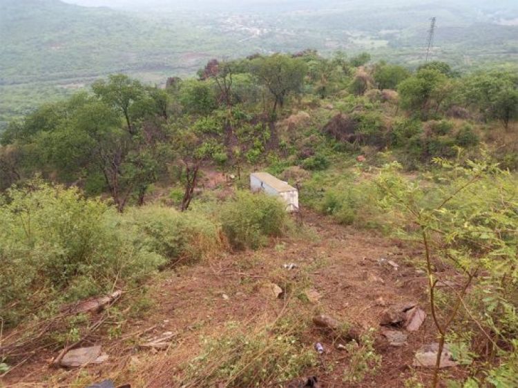 Com Informações: Cidade Verde Com Informações: Cidade Verde