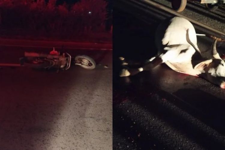 Com as informações do Mural da Vila Com as informações do Mural da Vila