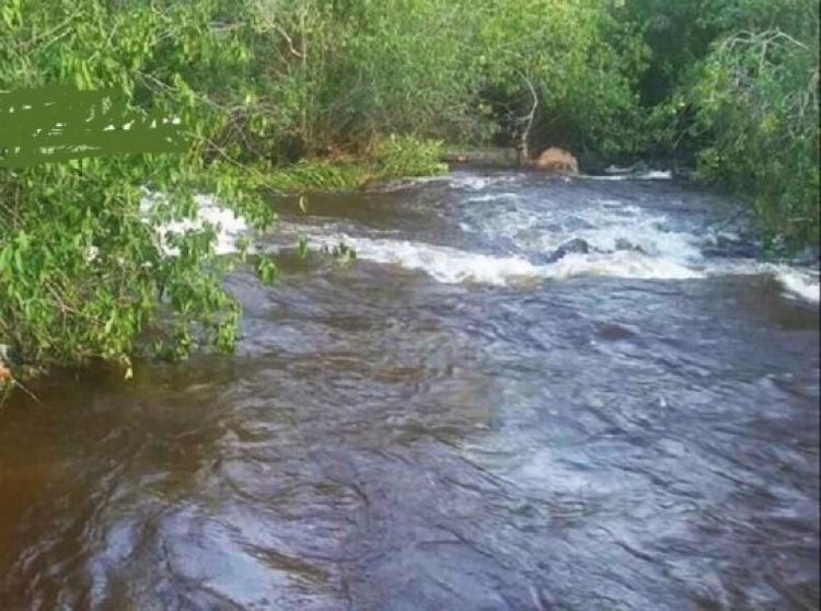 As informações são do Piripiri Repórter. As informações são do Piripiri Repórter.