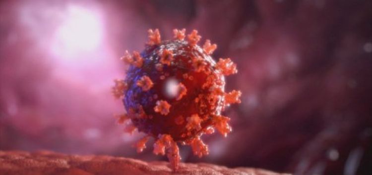 Com informações: G1 / PI Com informações: G1 / PI